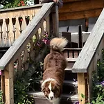 Krzeptowskiego 18 Domek alpejski Zakopane