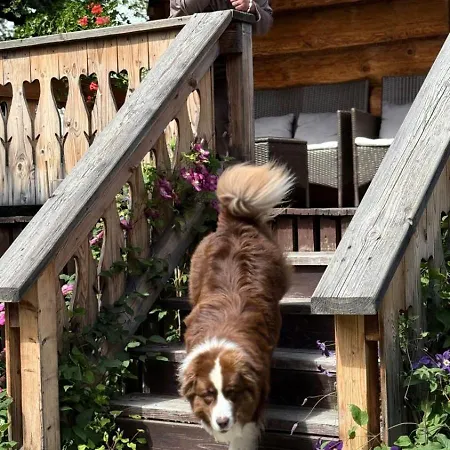 Krzeptowskiego 18 Alpesi faház Zakopane