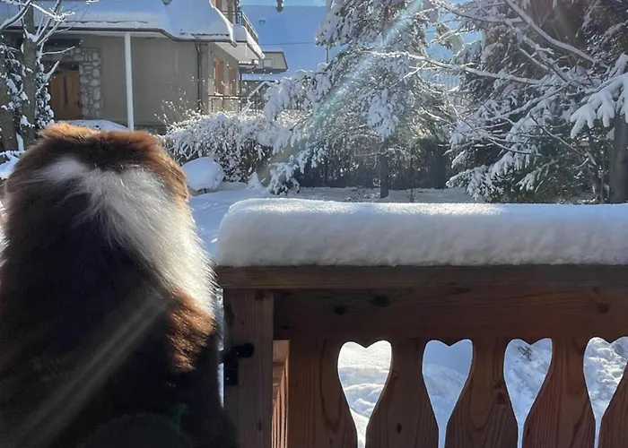 Krzeptowskiego 18 בקתה