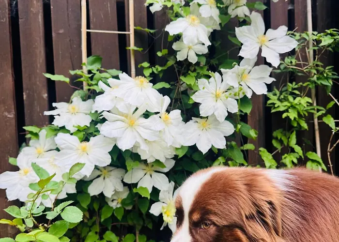 בקתה Krzeptowskiego 18