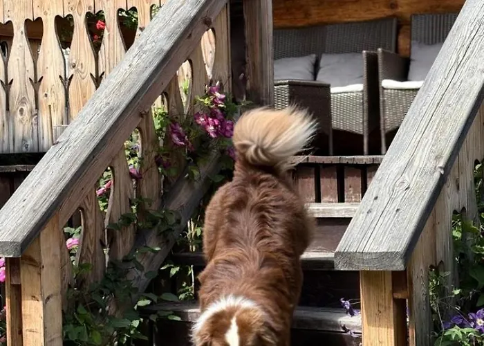 Krzeptowskiego 18 Alpehytte Zakopane